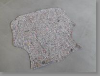 DSCN5831.jpg